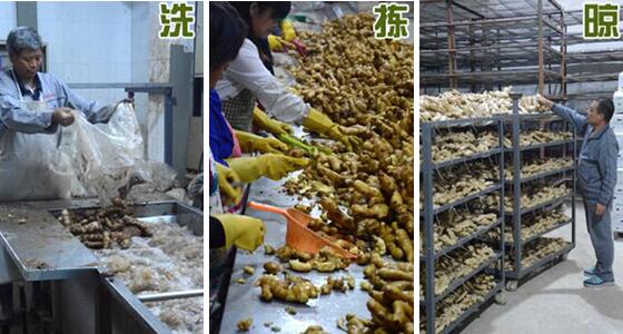 不用硫磺如何清洗生姜？